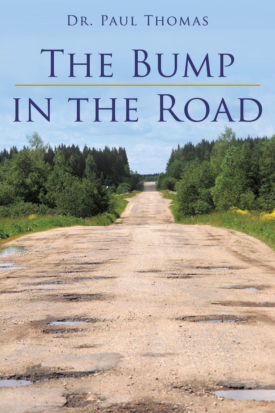 Vorderes Coverbild The Bump in the Road