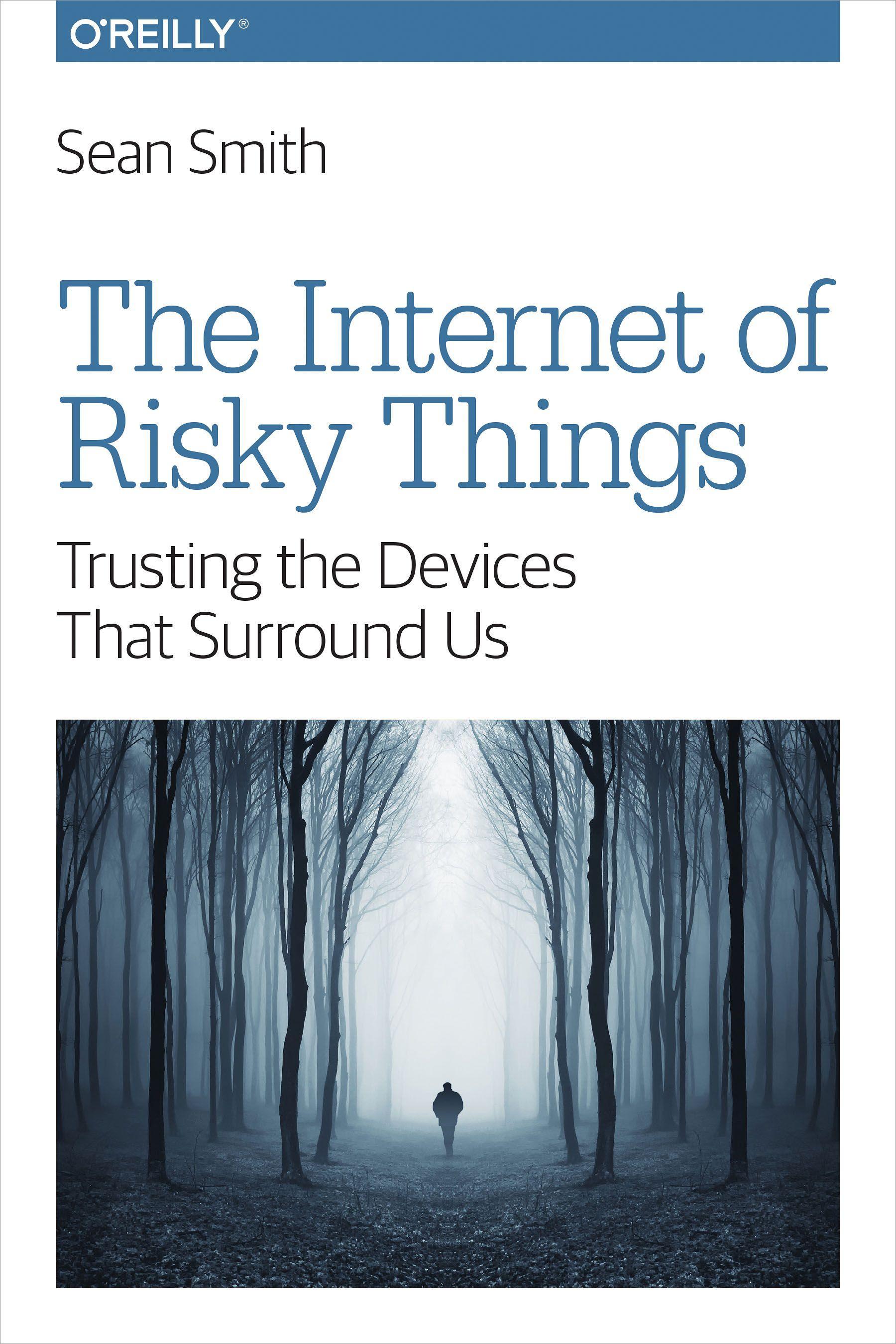 Vorderes Coverbild The Internet of Risky Things