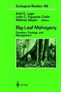 Vorderes Coverbild Big-Leaf Mahogany