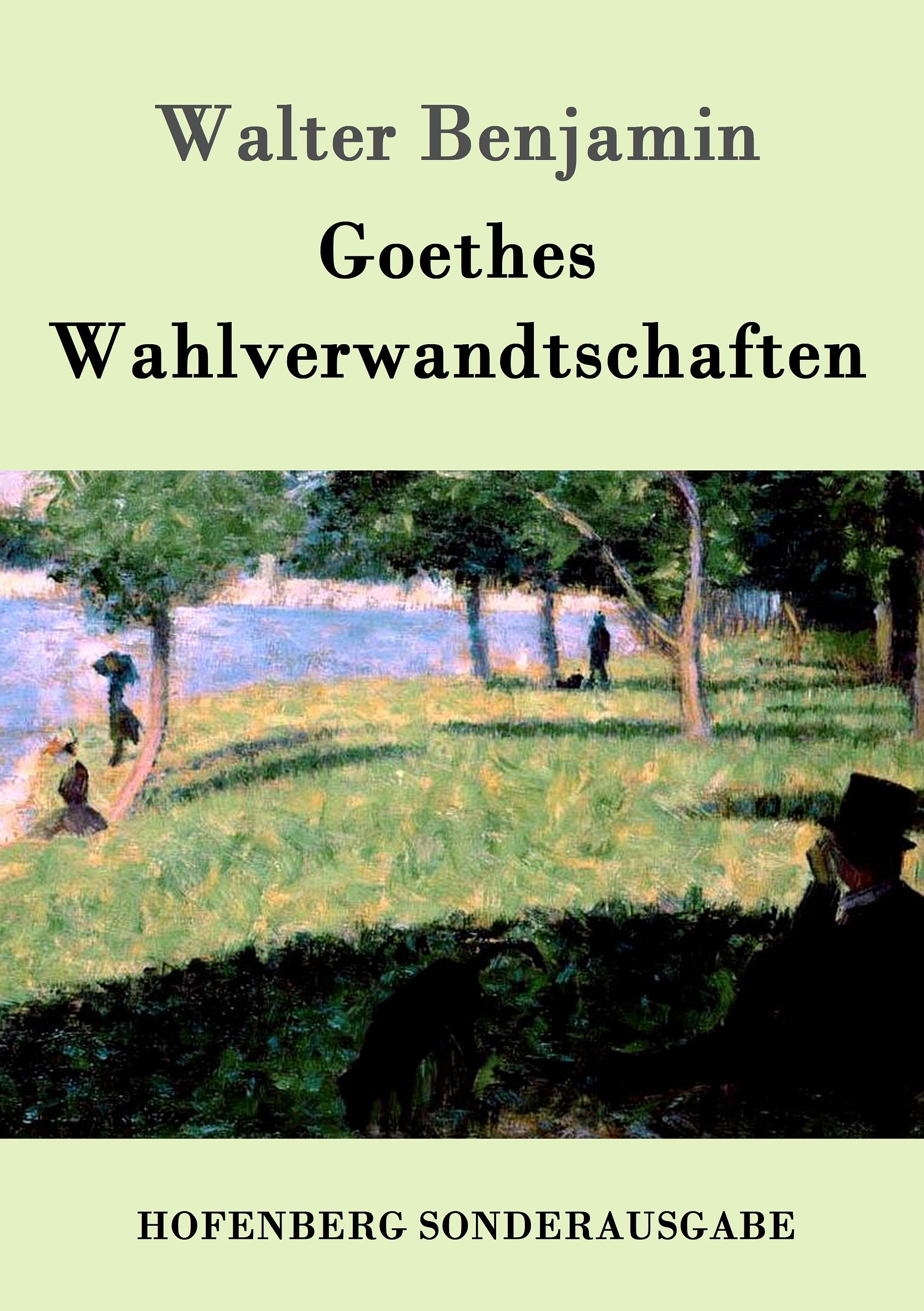 Vorderes Coverbild Goethes Wahlverwandtschaften