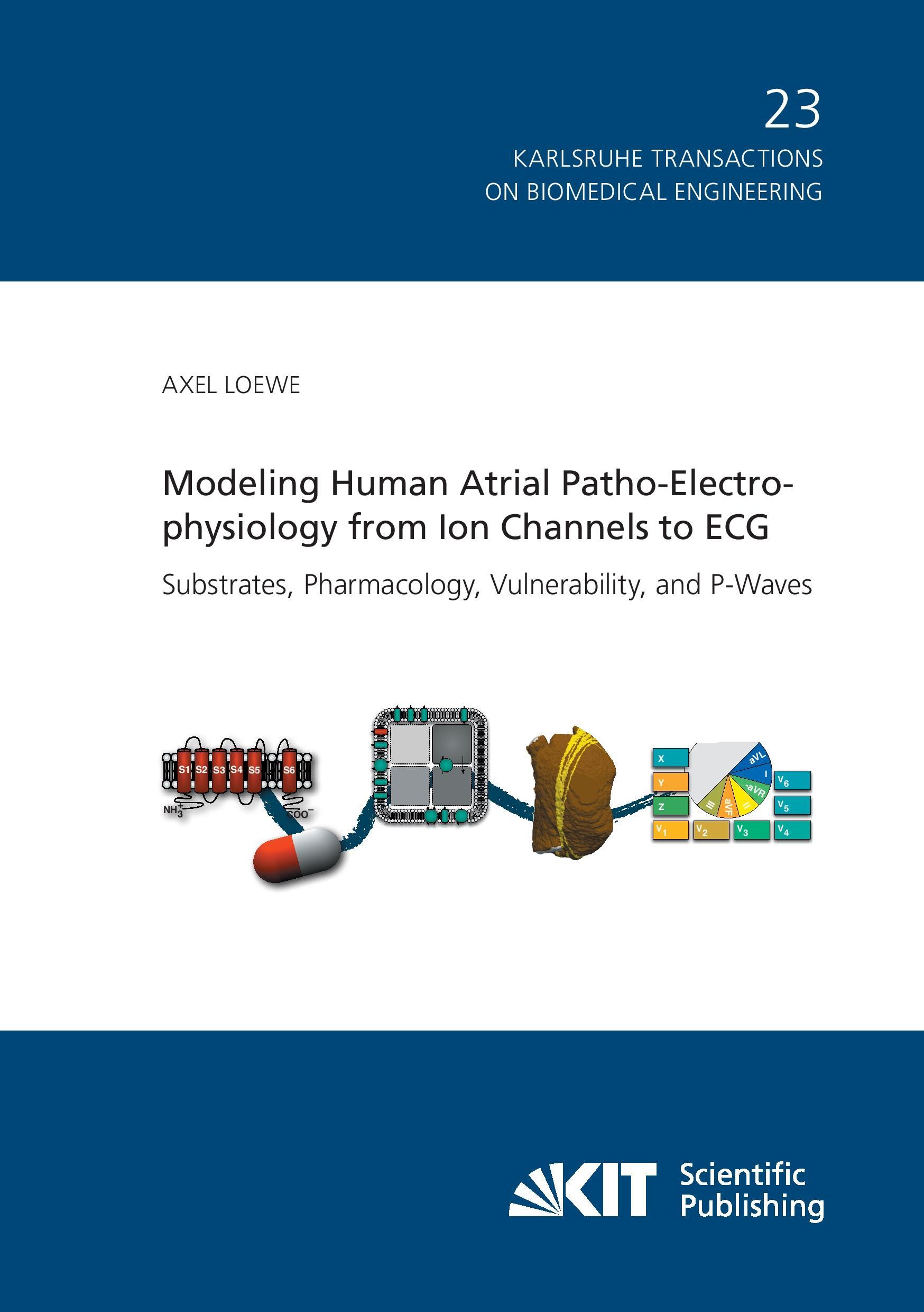 Vorderes Coverbild Modeling Human Atrial Patho-Electrophysiology from Ion Channels to ECG - Substrates, Pharmacology, Vulnerability, and P-Waves