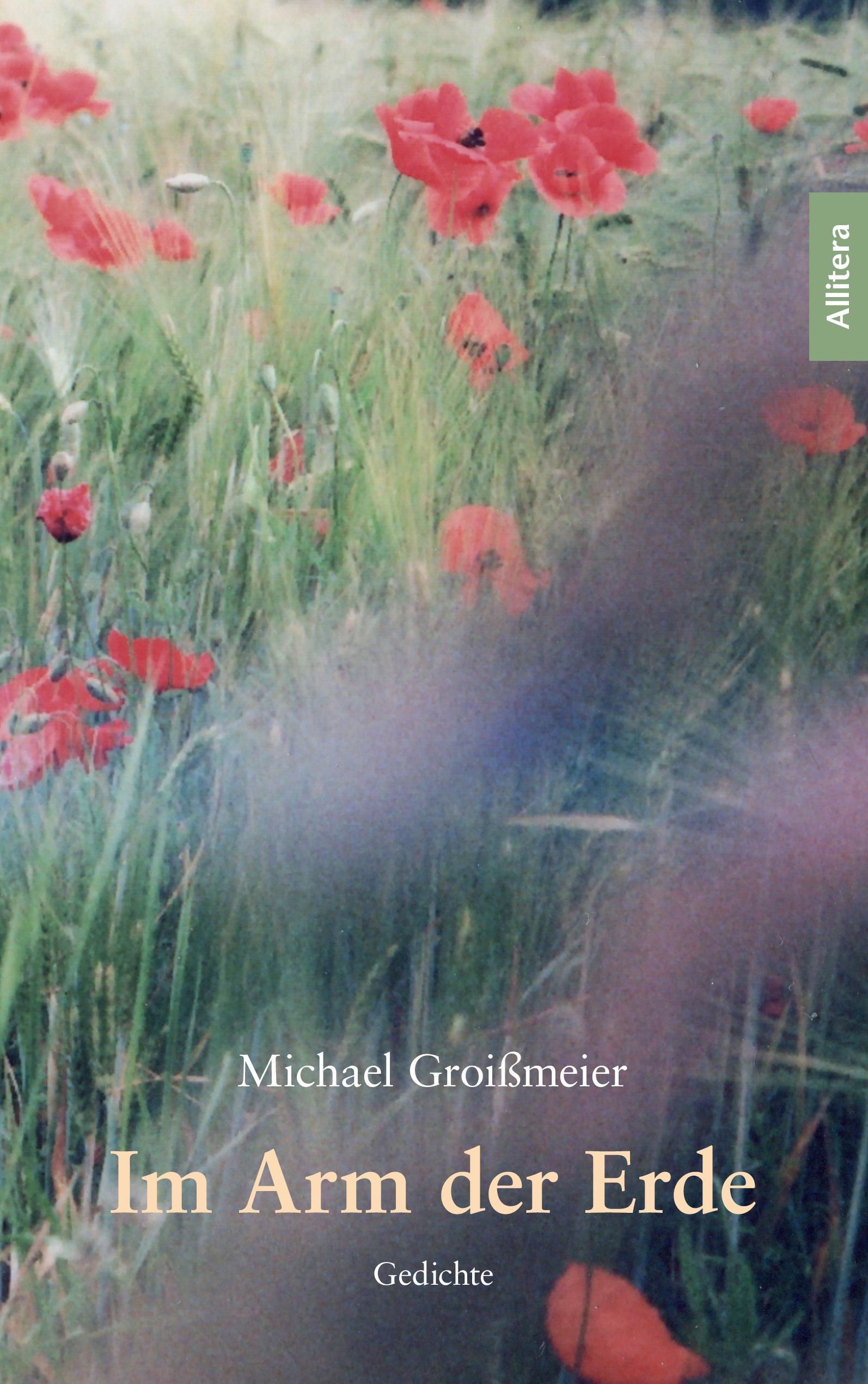 Vorderes Coverbild Im Arm der Erde