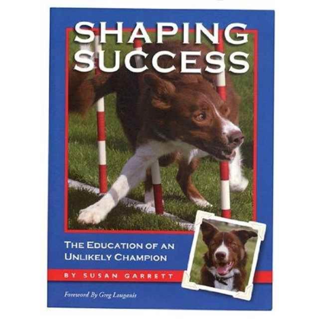 Vorderes Coverbild Shaping Success