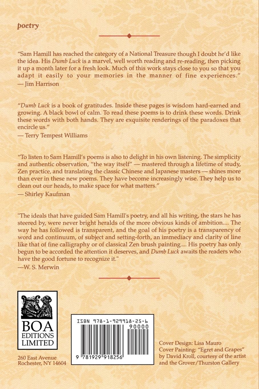 Rückseitencover Dumb Luck