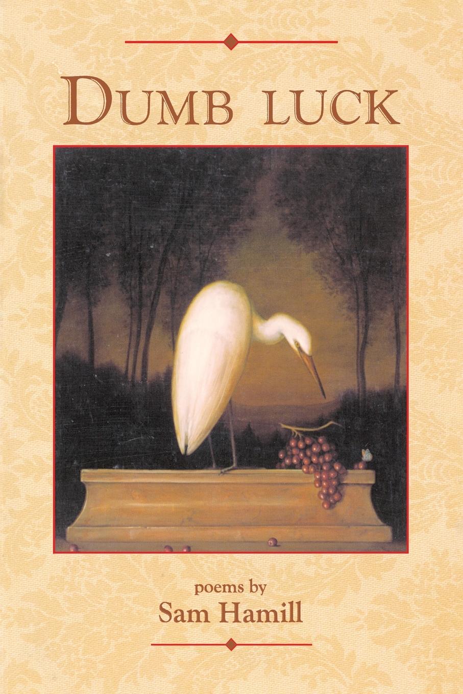 Vorderes Coverbild Dumb Luck