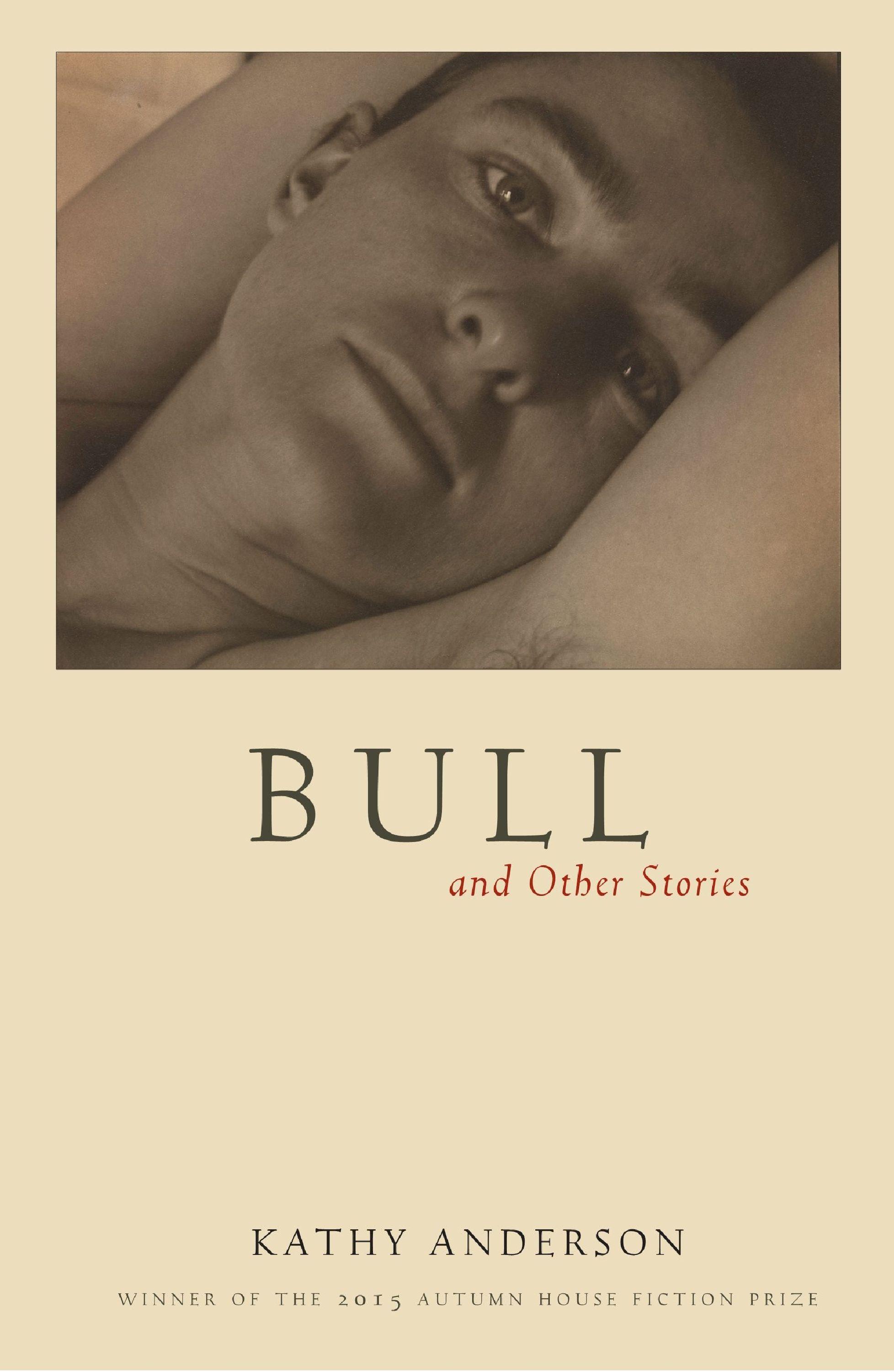 Vorderes Coverbild Bull: And Other Stories