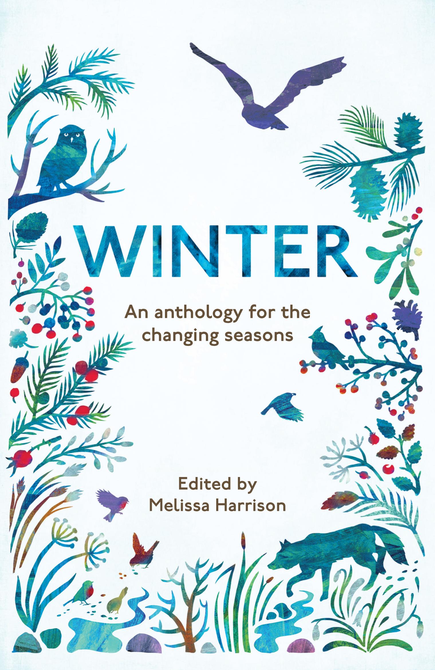 Vorderes Coverbild Winter