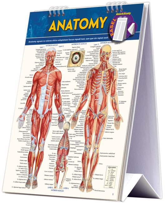 Vorderes Coverbild Anatomy Easel Book