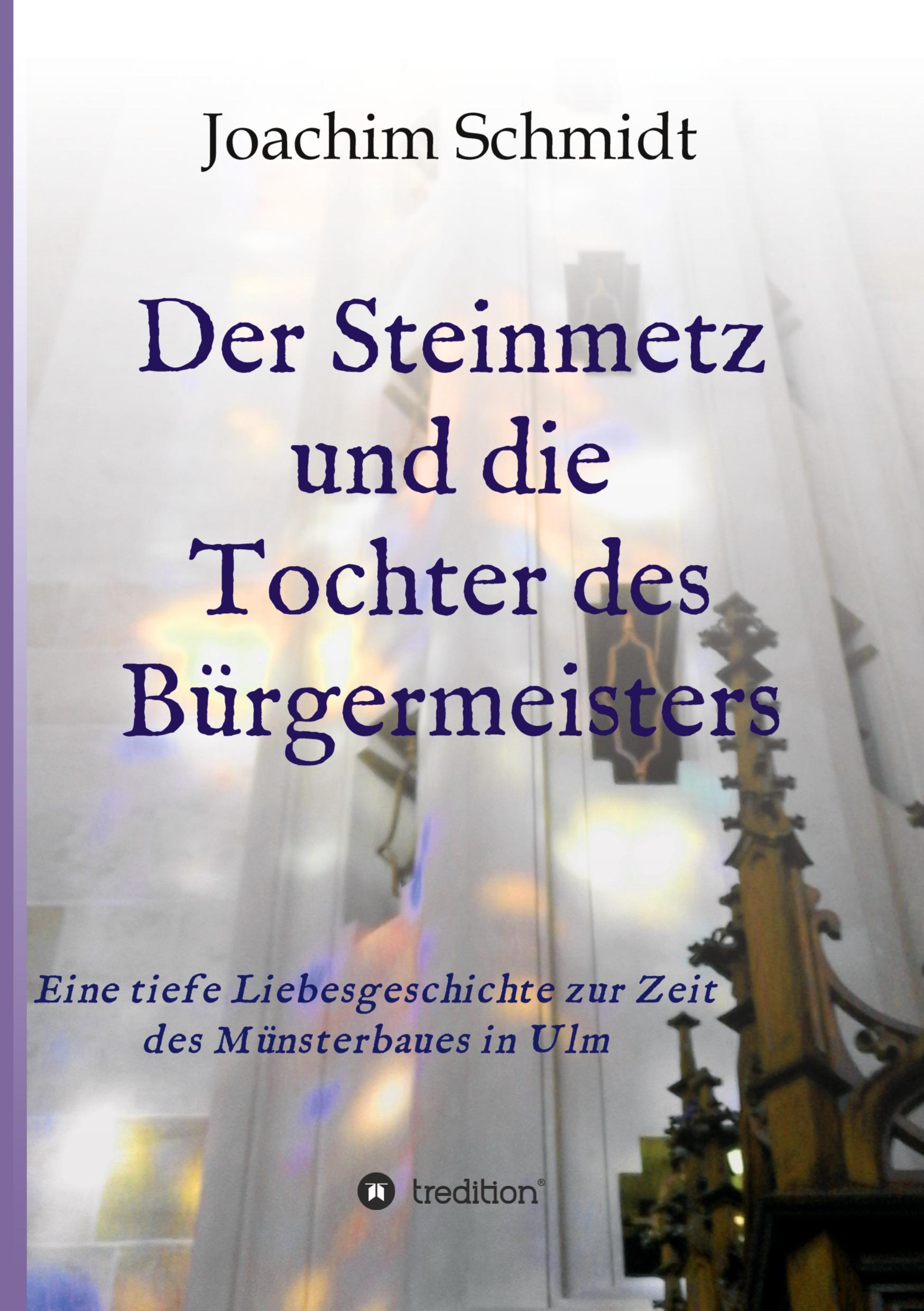Vorderes Coverbild Der Steinmetz und die Tochter des Bürgermeisters Ulmer Münsterbau Ständedenken Reformation Wanderjahre Wien Augsburg