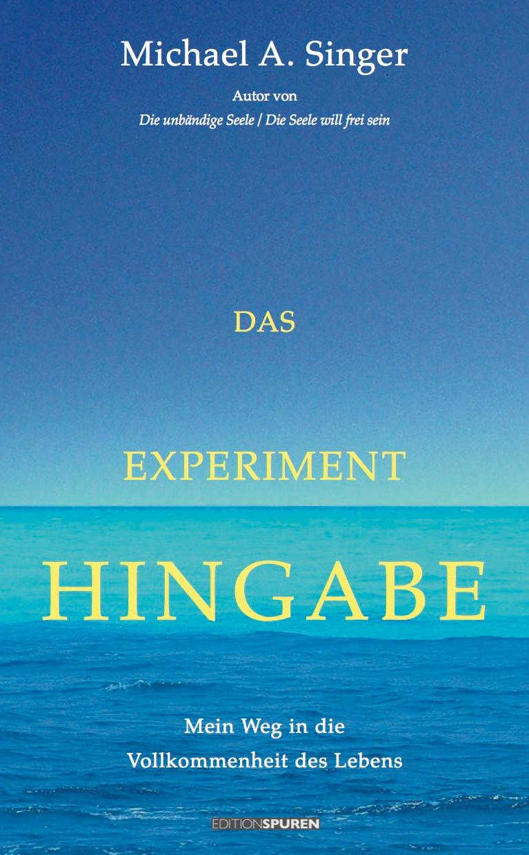 Vorderes Coverbild Das Experiment Hingabe