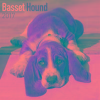 Vorderes Coverbild Basset Hound Calendar 2017