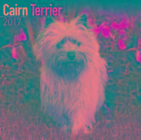 Vorderes Coverbild Cairn Terrier Calendar 2017