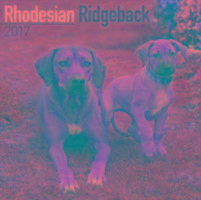 Vorderes Coverbild Rhodesian Ridgeback Calendar 2017