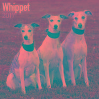 Vorderes Coverbild Whippet Calendar 2017