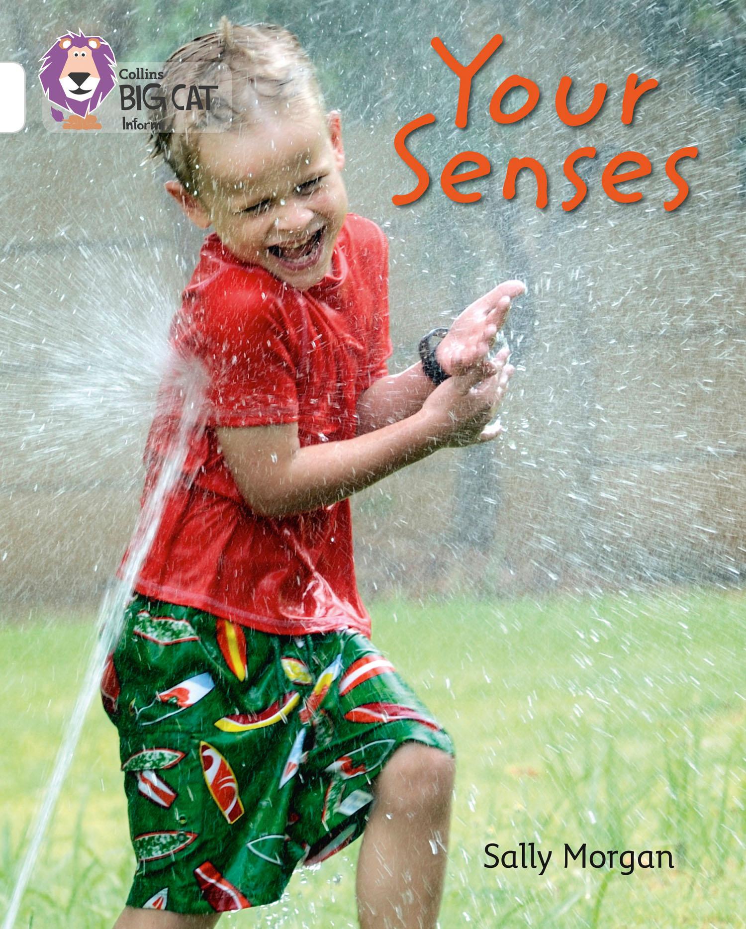 Vorderes Coverbild Your Senses