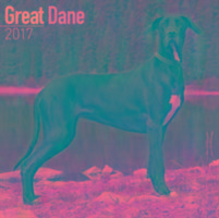 Vorderes Coverbild Great Dane Calendar 2017