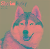 Vorderes Coverbild Siberian Husky Calendar 2017