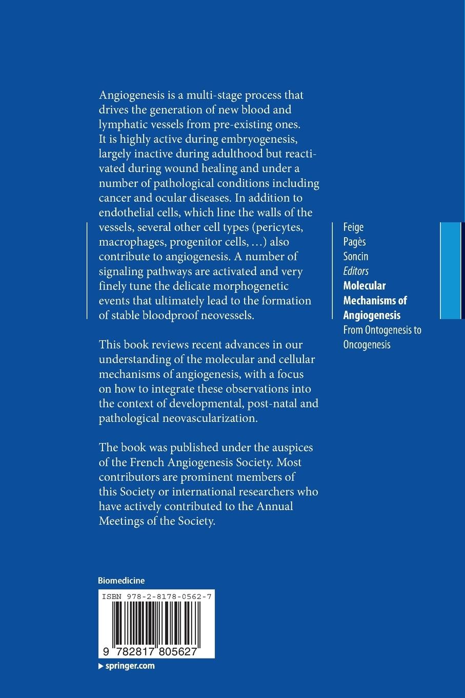 Rückseitencover Molecular Mechanisms of Angiogenesis