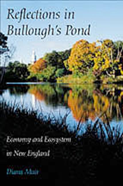 Vorderes Coverbild Reflections in Bullough's Pond