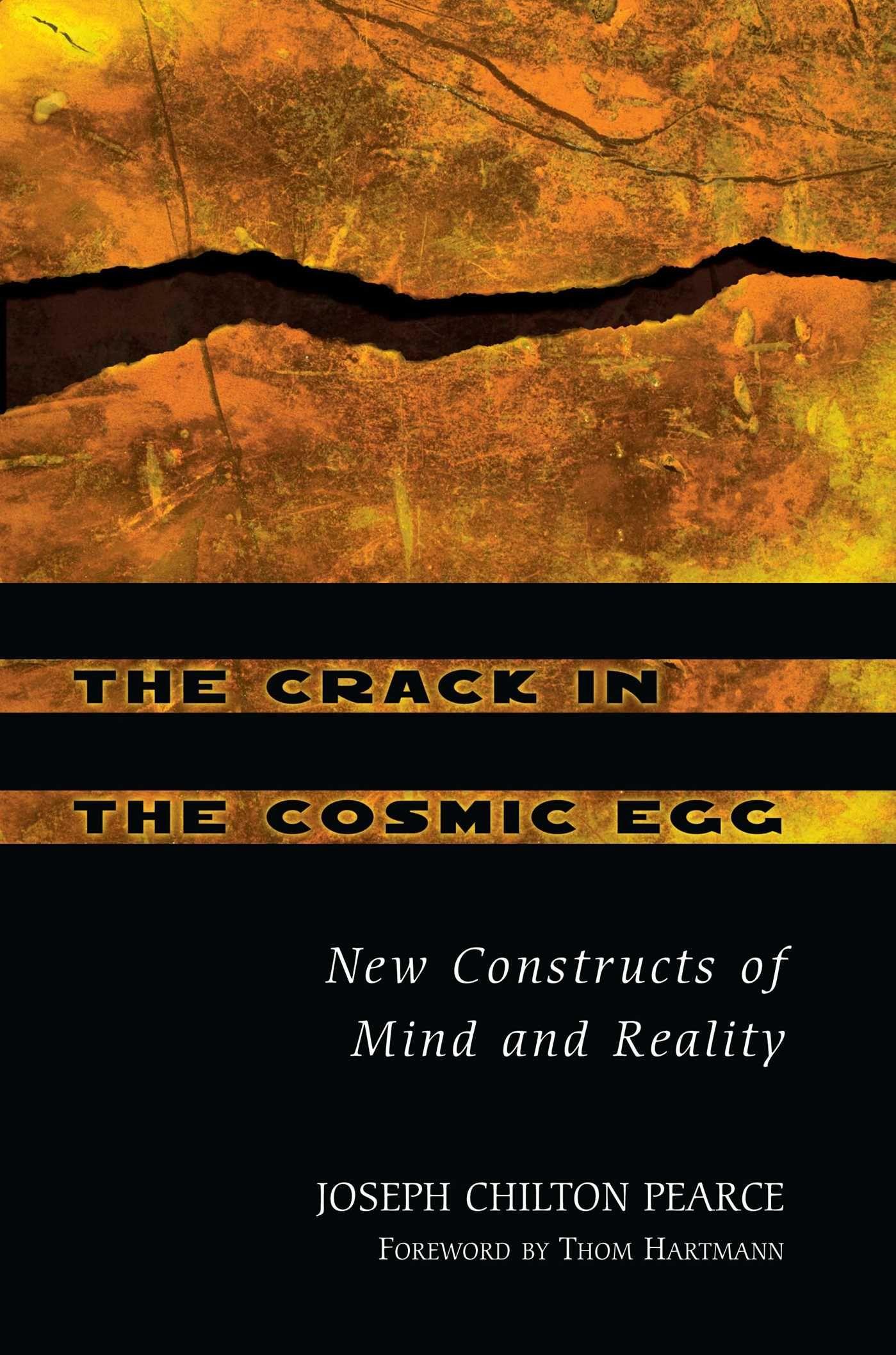 Vorderes Coverbild The Crack in the Cosmic Egg