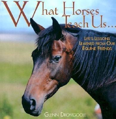 Vorderes Coverbild What Horses Teach Us: Life's Lessons Learned from Our Equine Friends