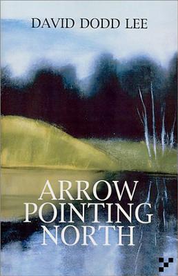 Vorderes Coverbild Arrow Pointing North