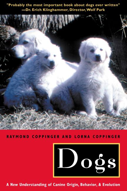 Vorderes Coverbild Dogs