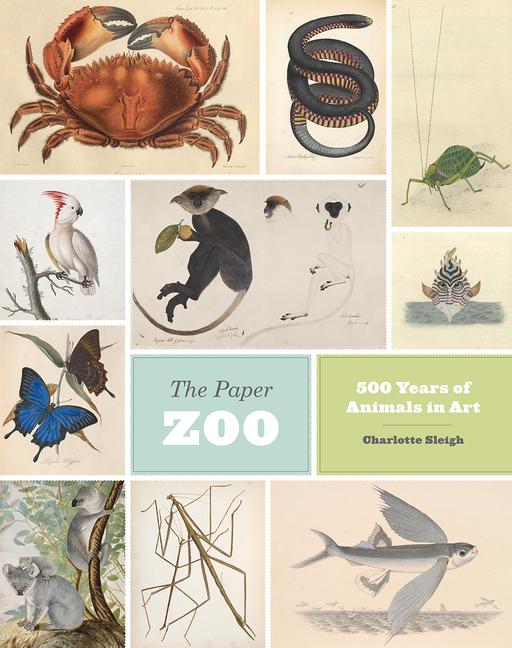 Vorderes Coverbild The Paper Zoo