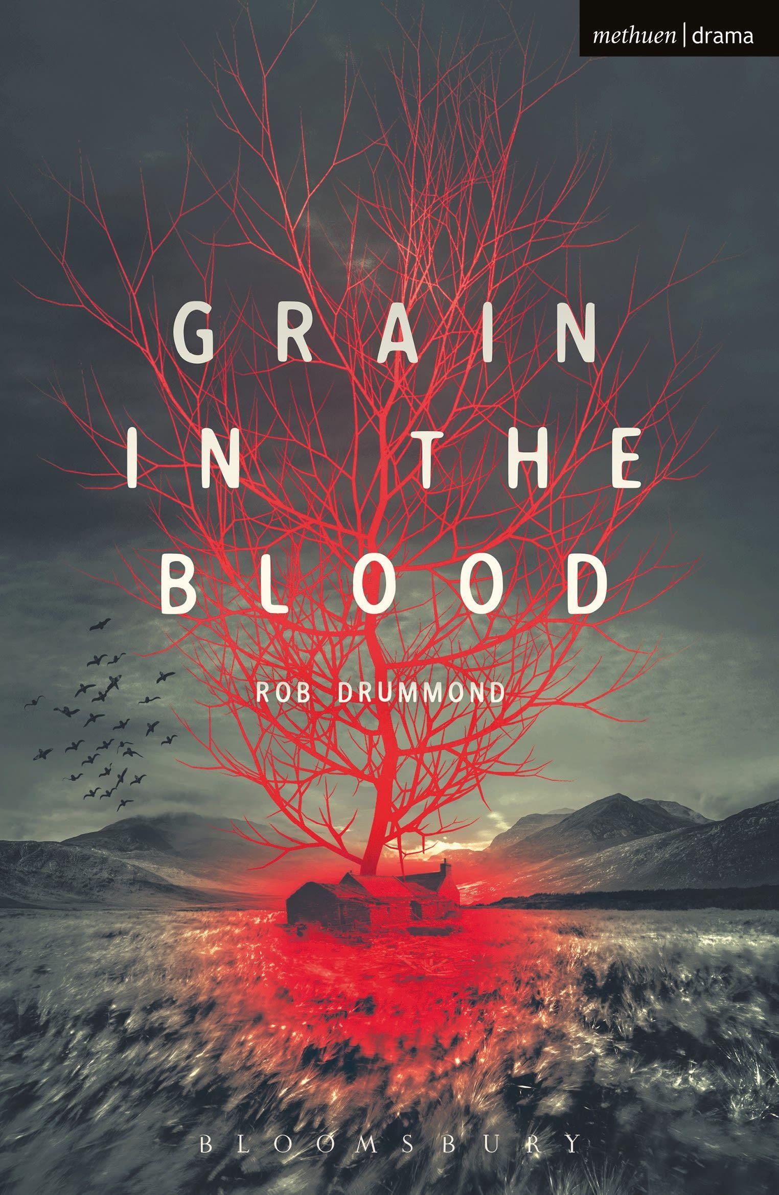 Vorderes Coverbild Grain in the Blood
