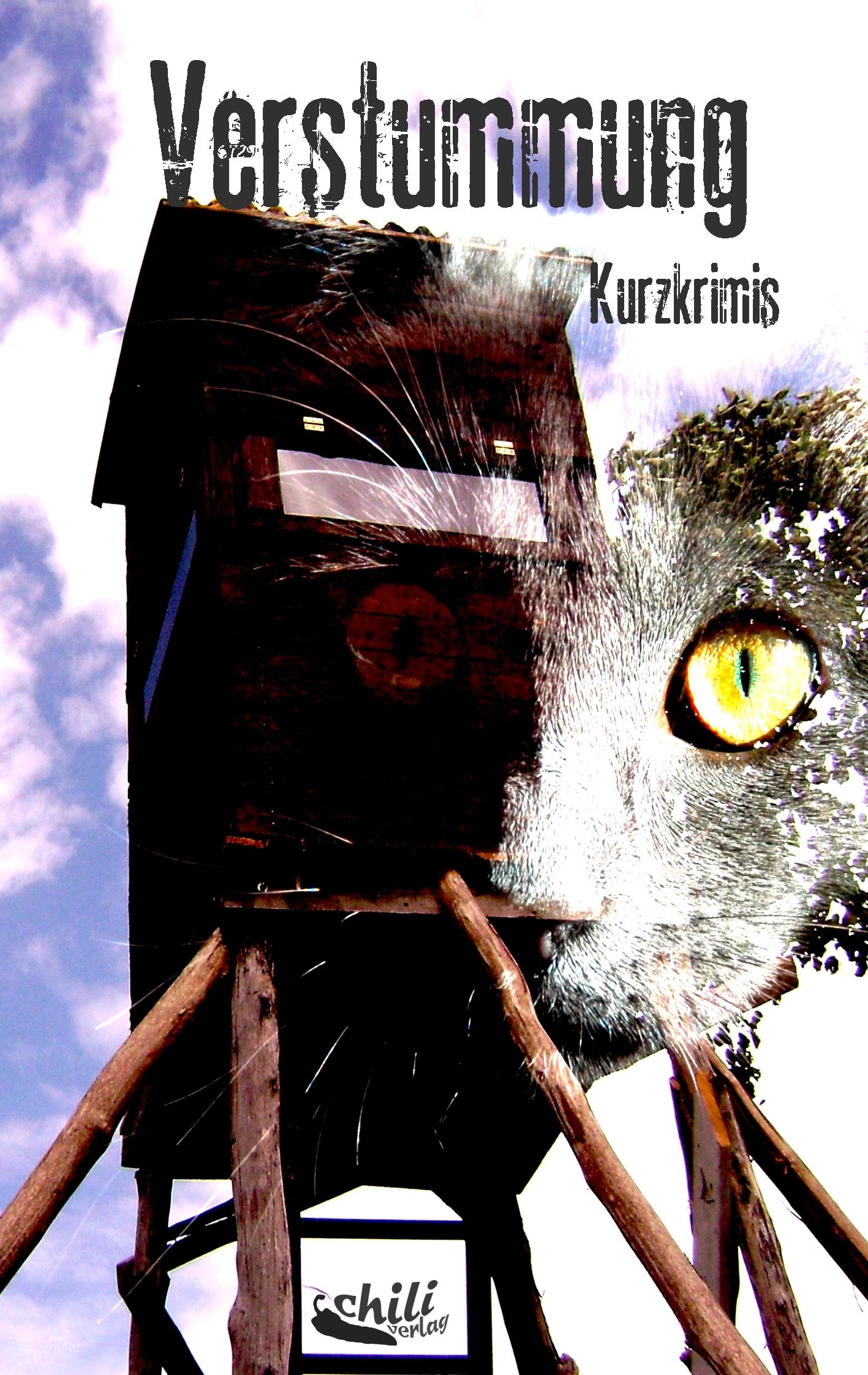 Vorderes Coverbild Verstummung