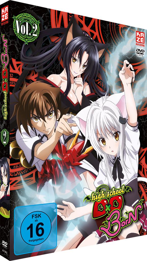Vorderes Coverbild High School DxD BorN