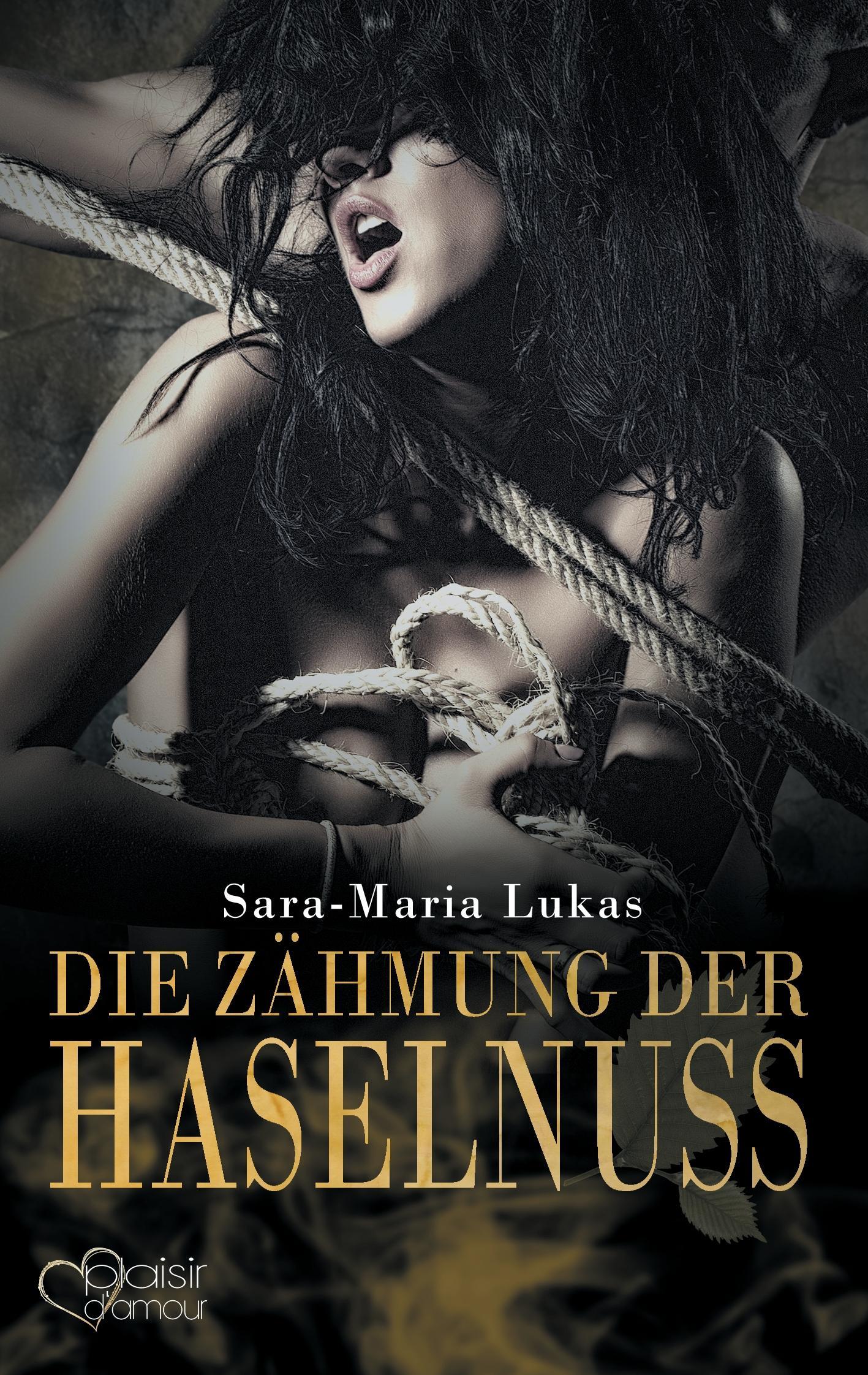 Vorderes Coverbild Hard & Heart 3: Die Zähmung der Haselnuss