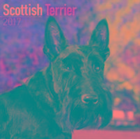 Vorderes Coverbild Scottish Terrier Calendar 2017