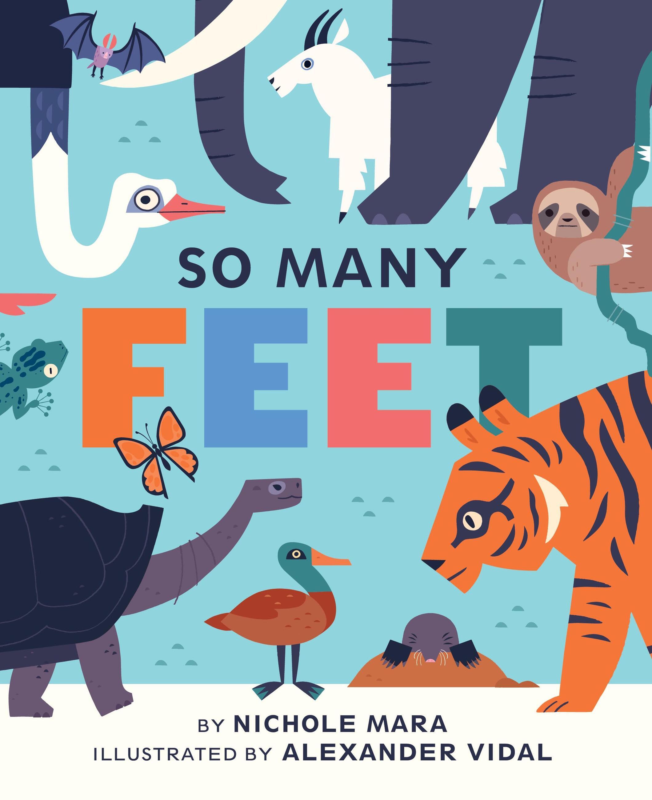 Vorderes Coverbild So Many Feet