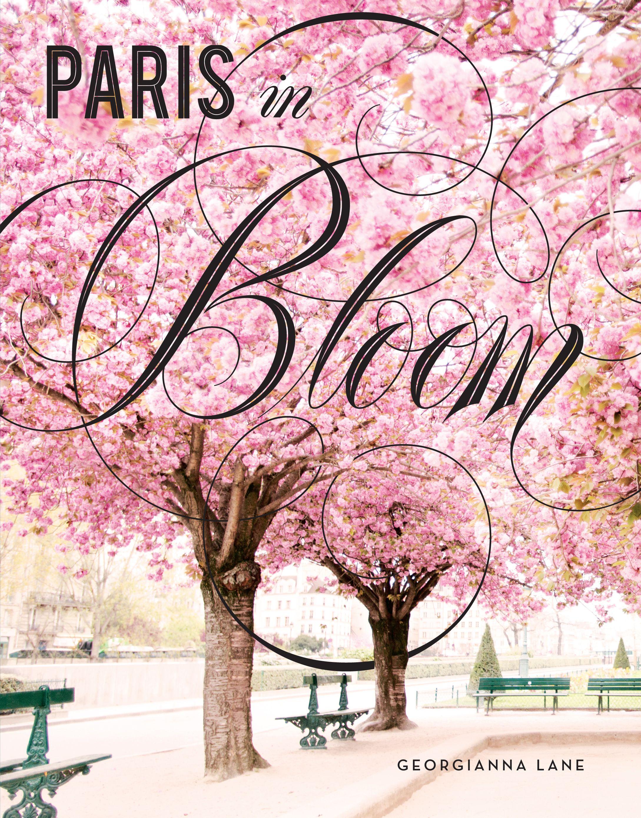 Vorderes Coverbild Paris in Bloom