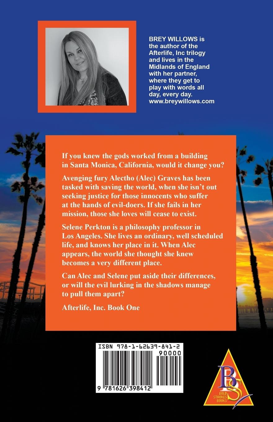 Rückseitencover Fury's Bridge