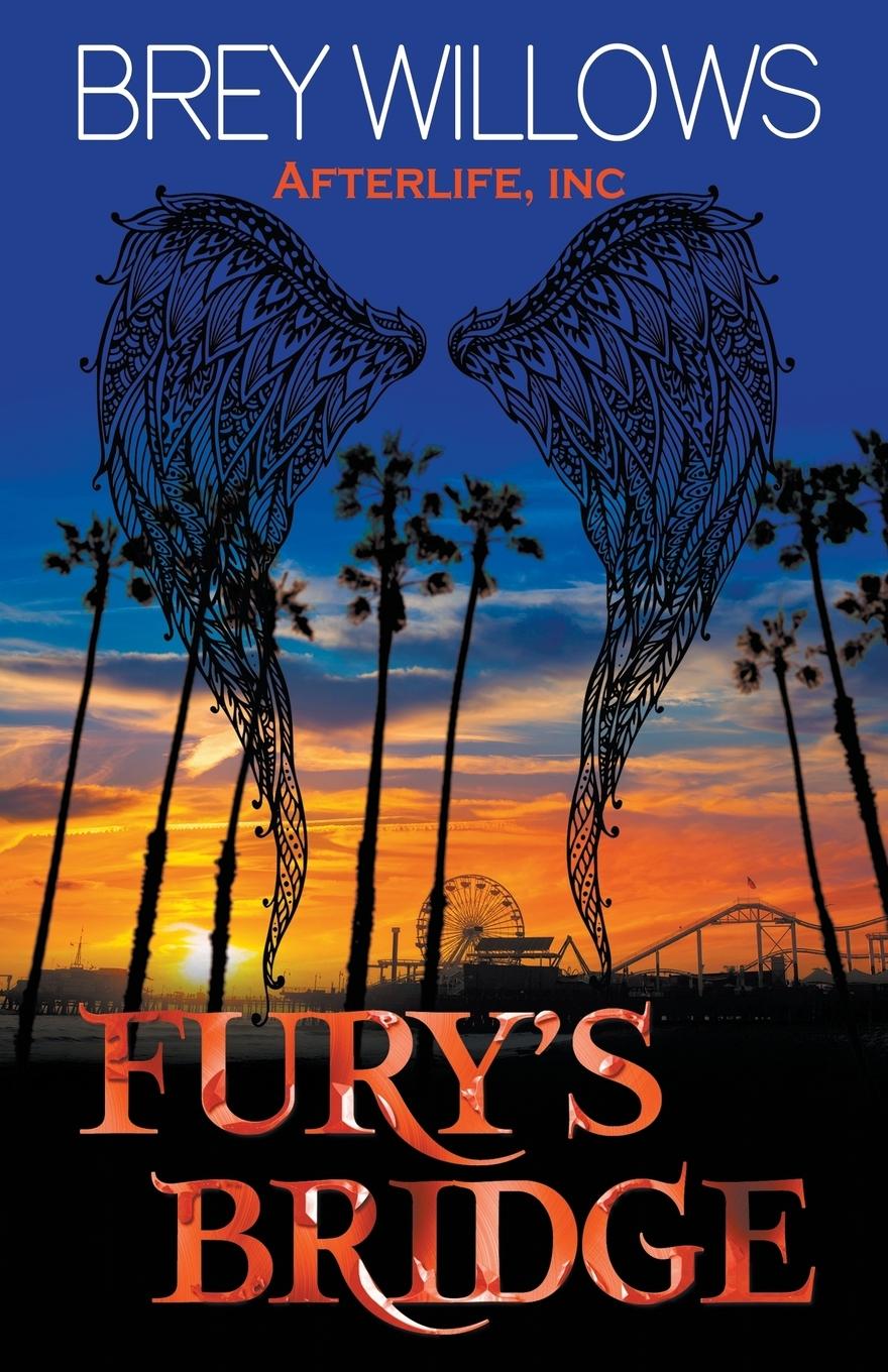 Vorderes Coverbild Fury's Bridge