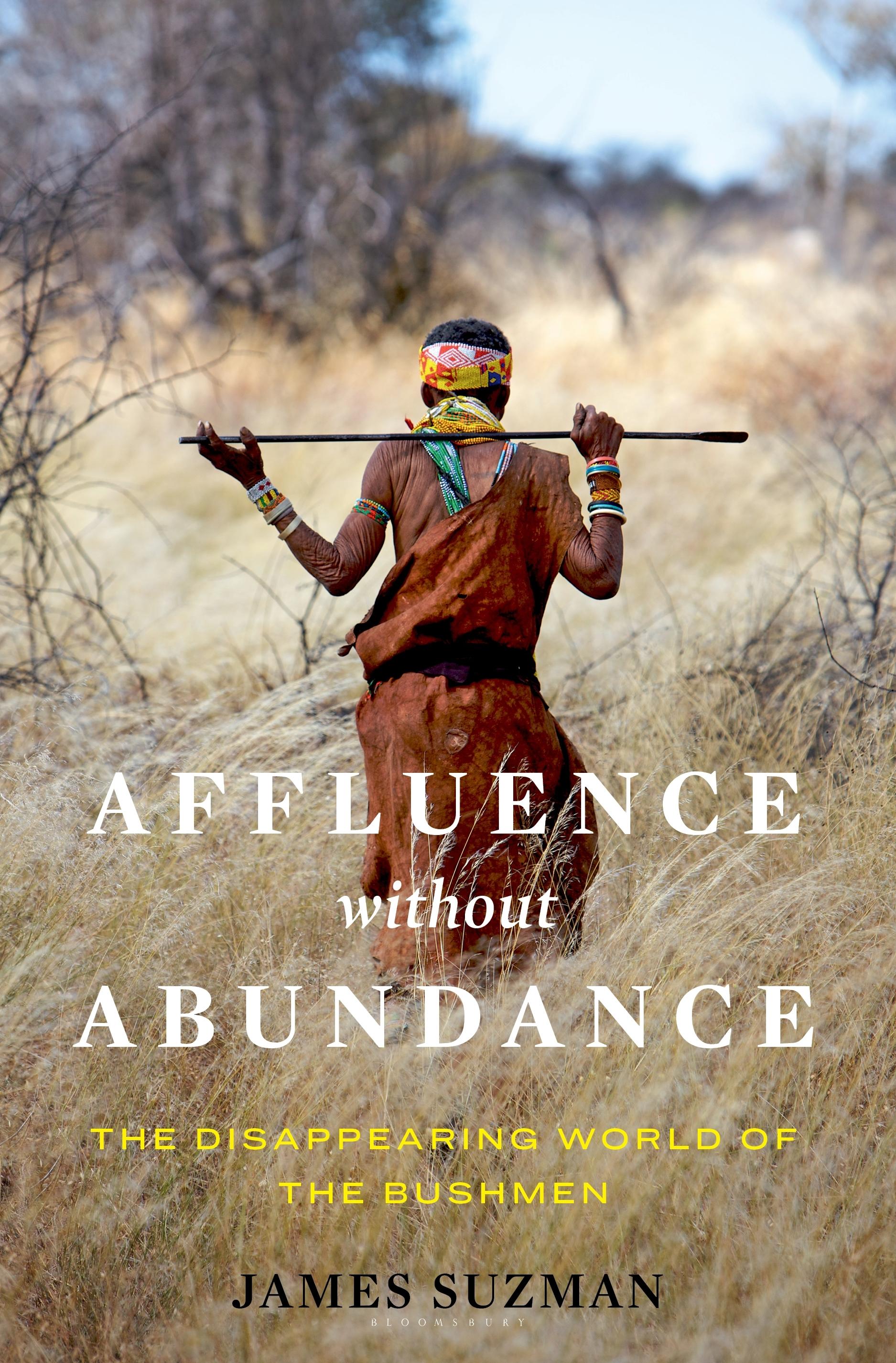 Vorderes Coverbild Affluence Without Abundance