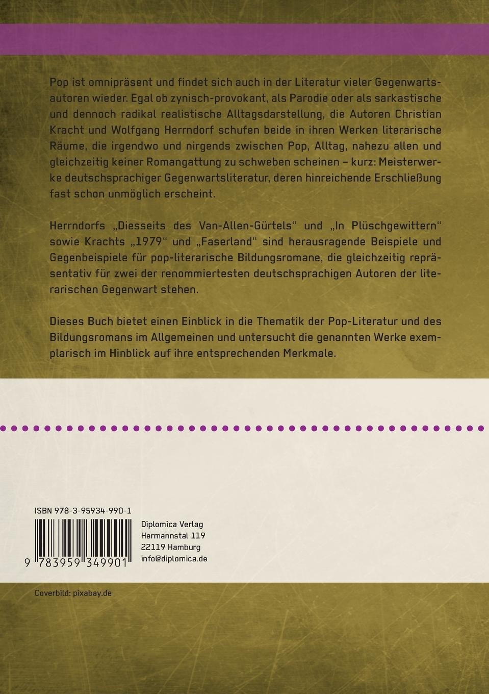 Rückseitencover Der Bildungsroman im Zeitalter der Pop-Literatur. Christian Kracht und Wolfgang Herrndorf