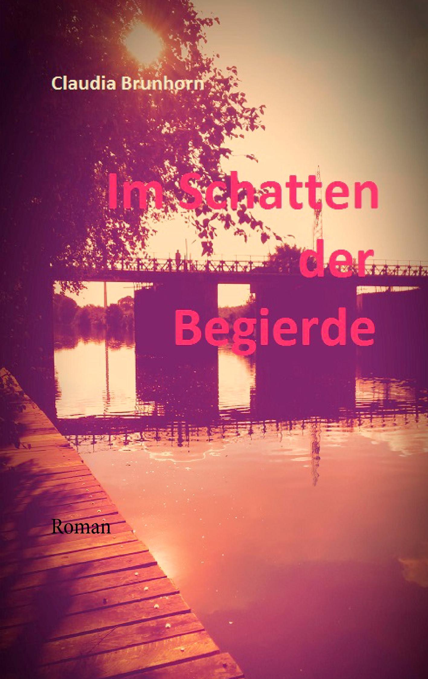 Vorderes Coverbild Im Schatten der Begierde