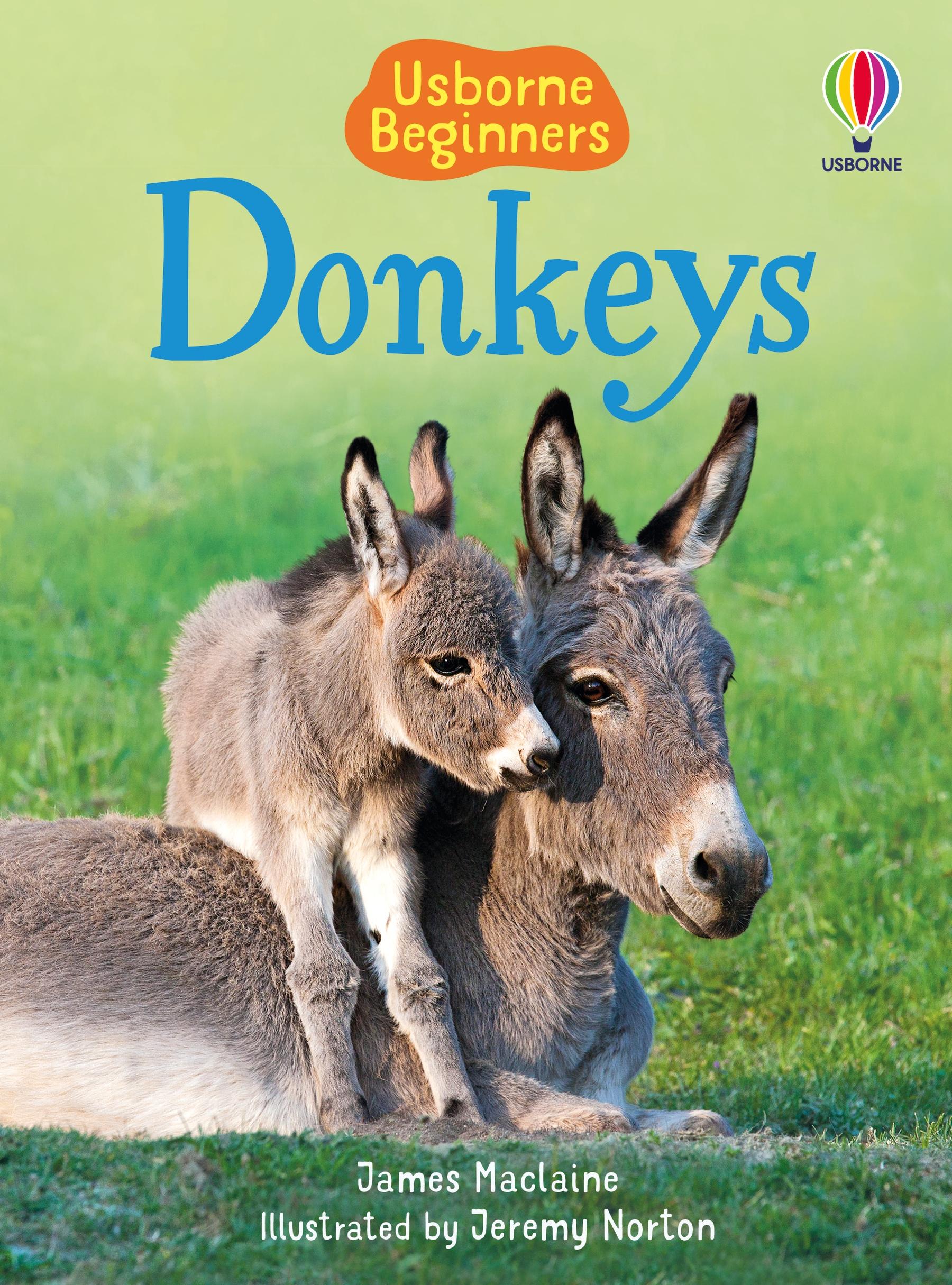 Vorderes Coverbild Donkeys