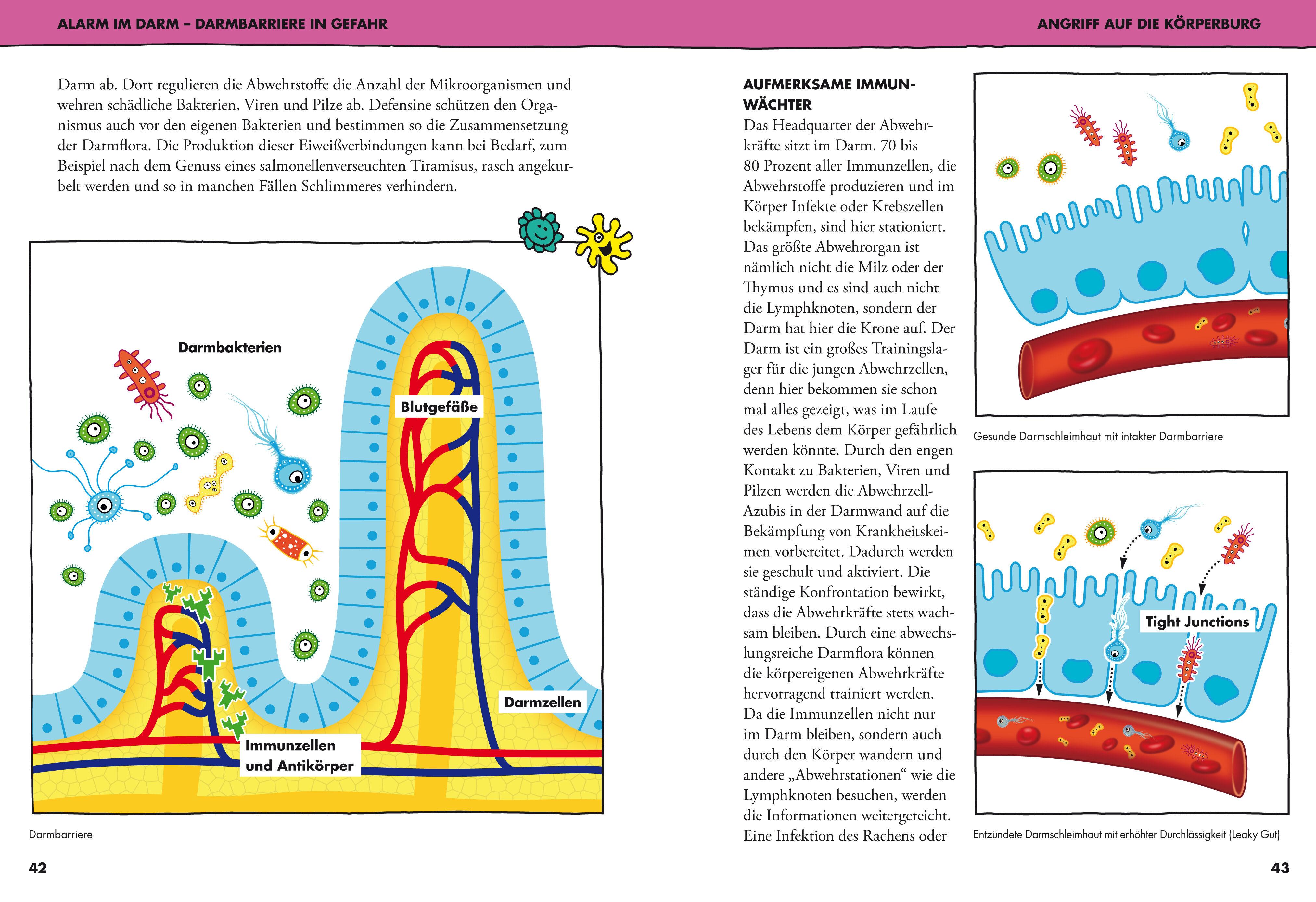 Beispielinhalt (Bild) Schlau mit Darm
