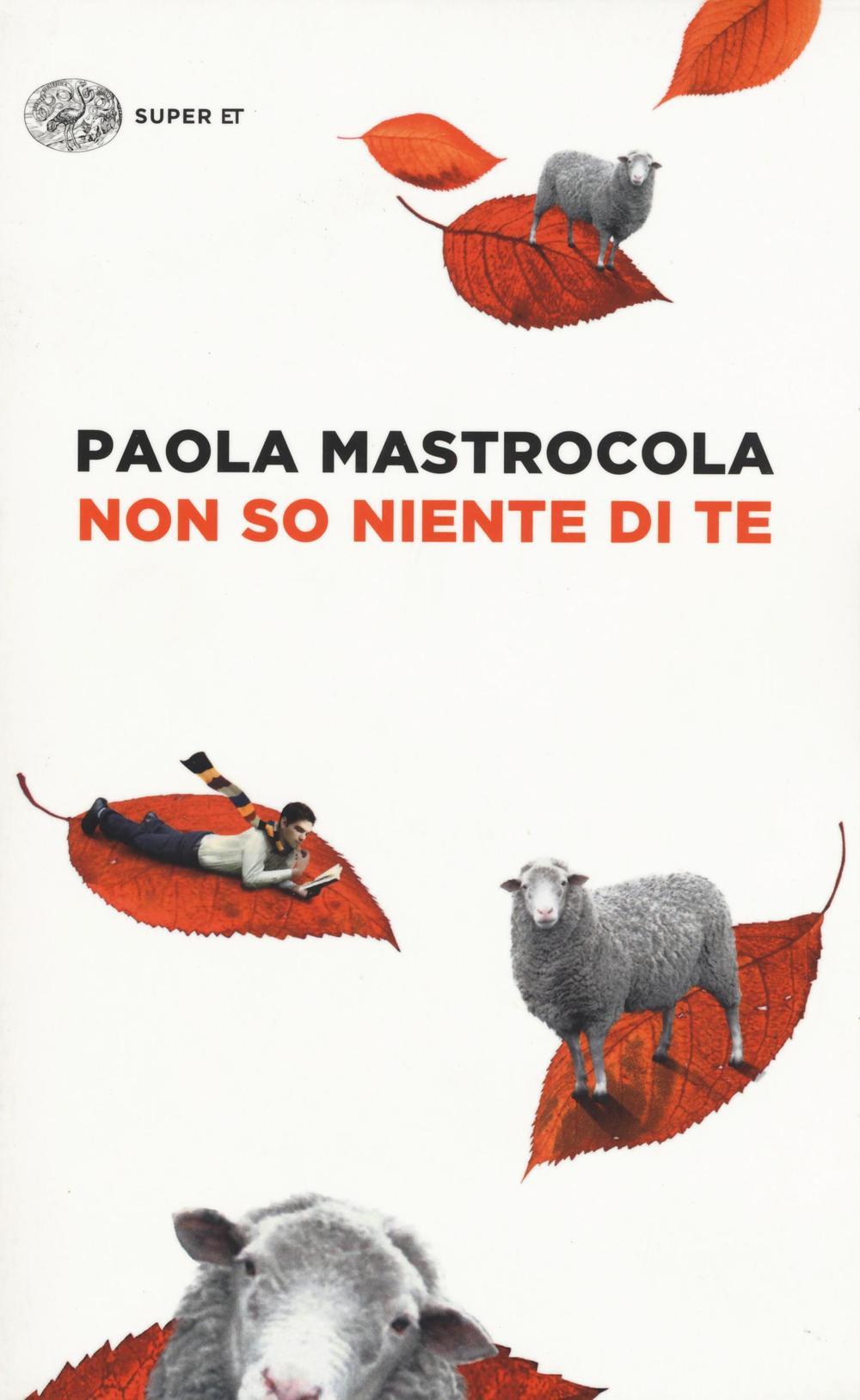 Vorderes Coverbild Non so niente di te