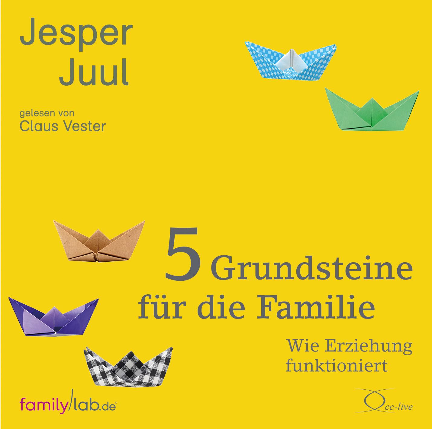 Vorderes Coverbild 5 Grundsteine für die Familie