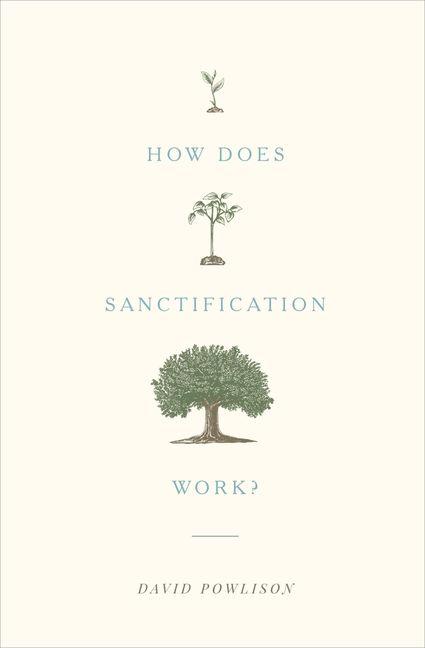 Vorderes Coverbild How Does Sanctification Work?