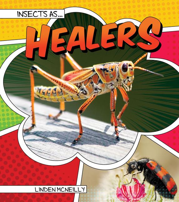 Vorderes Coverbild Insects as Healers