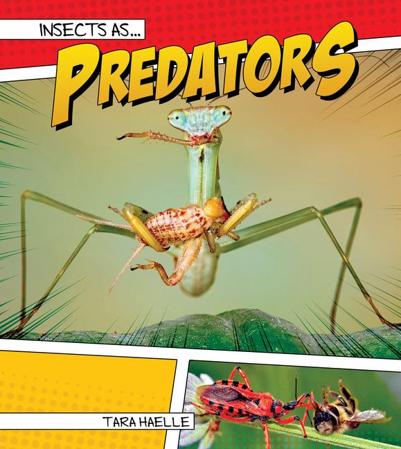 Vorderes Coverbild Insects as Predators