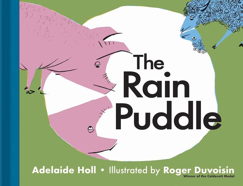 Vorderes Coverbild The Rain Puddle