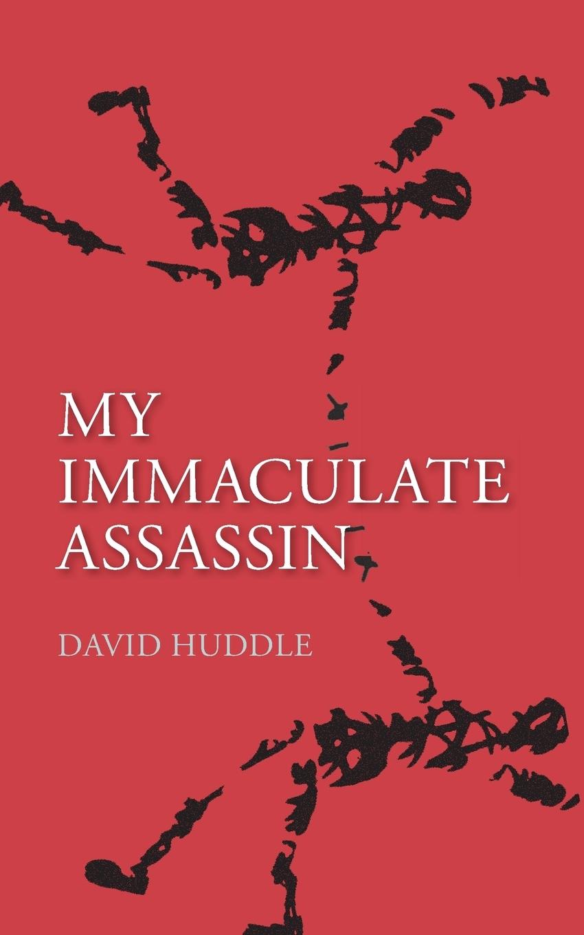 Vorderes Coverbild My Immaculate Assassin
