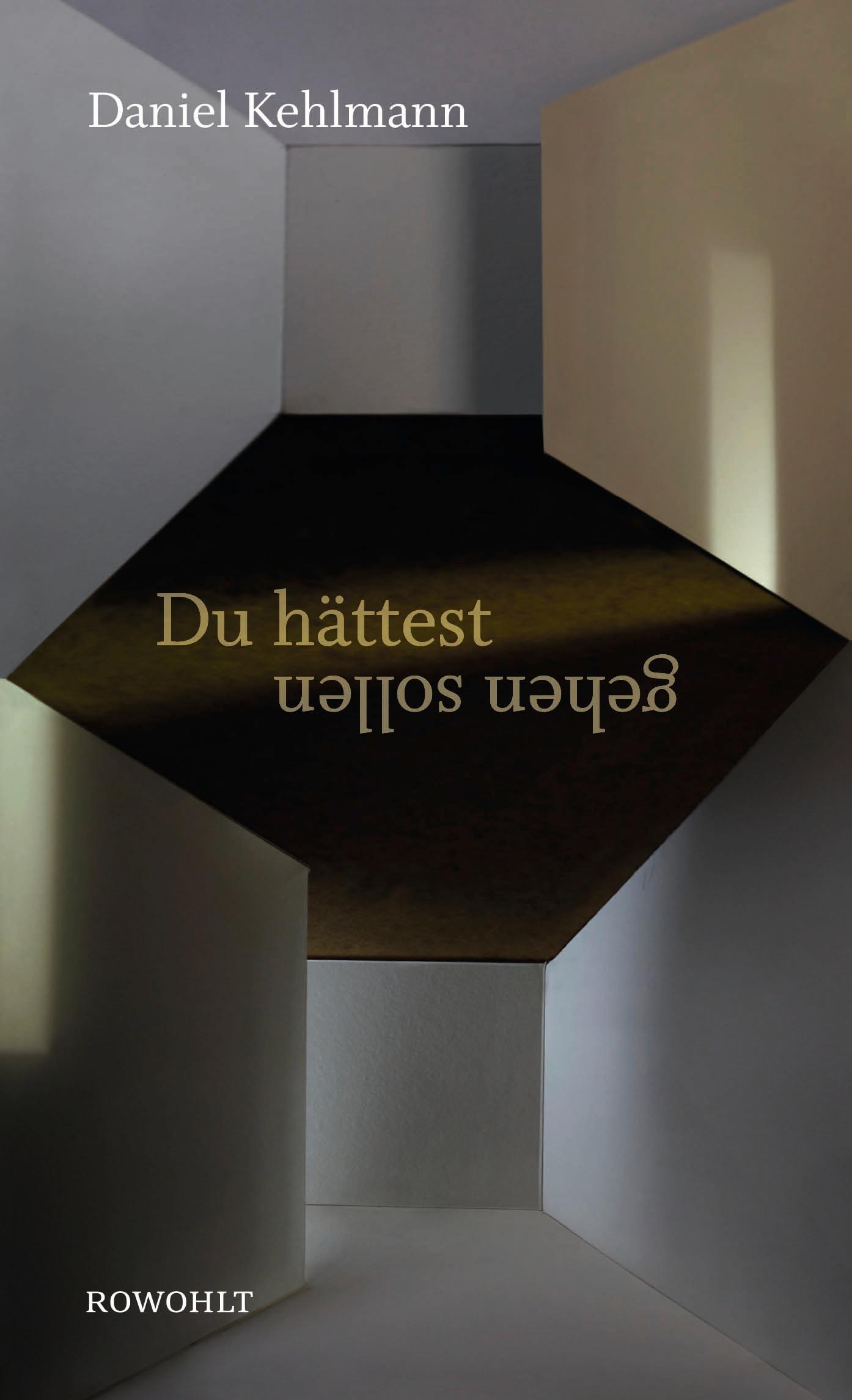 Vorderes Coverbild Du hättest gehen sollen